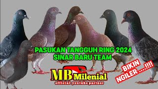 UPDATE TERKINI..Review player ring 2024 milik SINAR BARU bird farm pamekasan
