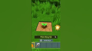 cách trồng cây trong Mini World #miniworld