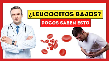 ¿Qué alimentos evitar si se tiene un nivel bajo de glóbulos blancos?