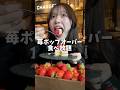 苺もポップオーバーも食べ放題のサラダバービュッフェ🍓