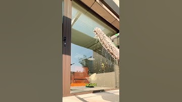 Relax and Watch This Window Get Cleaned #shorts