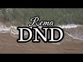 Rema - DND(lyrics video)