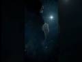 NINGIILONAOKA TARA VELISENE #christ #dani #song #jesuschrist #christmas #star#love #jesus #bible