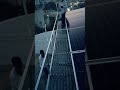 Solar panel installation #shorts #solarenergy