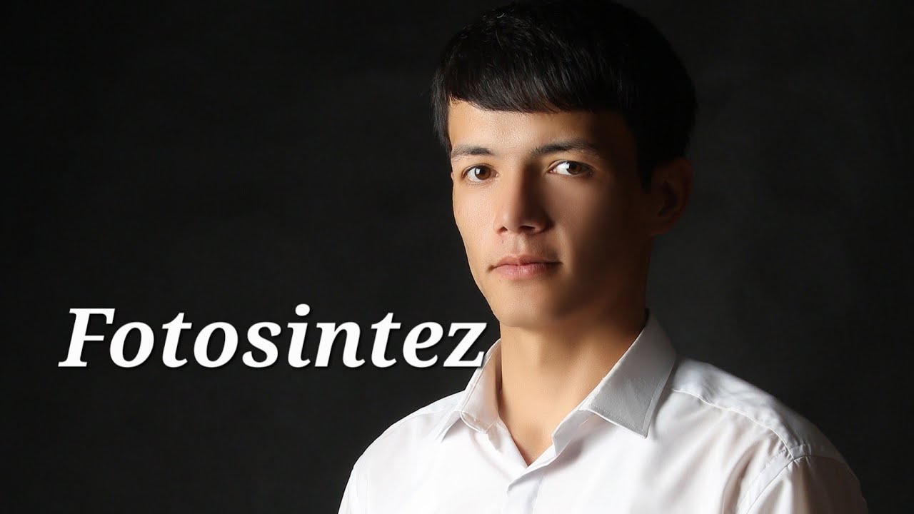 Fotosintez | assimilyatsiya jarayoni