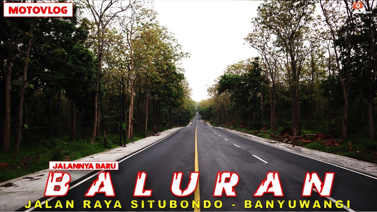 BALURAN - Perjalanan Situbondo ke arah Banyuwangi via Baluran JALANNYA JOOSSS!!!