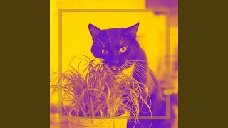 Modish Music for Memory