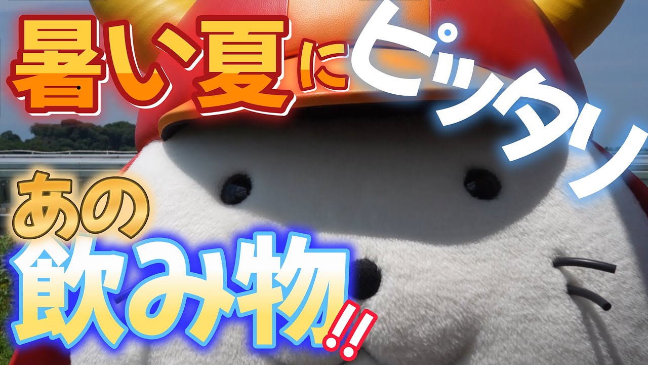 43【彦根市×〇〇】暑い夏にぴったり！爽やかドリンク！ - YouTube