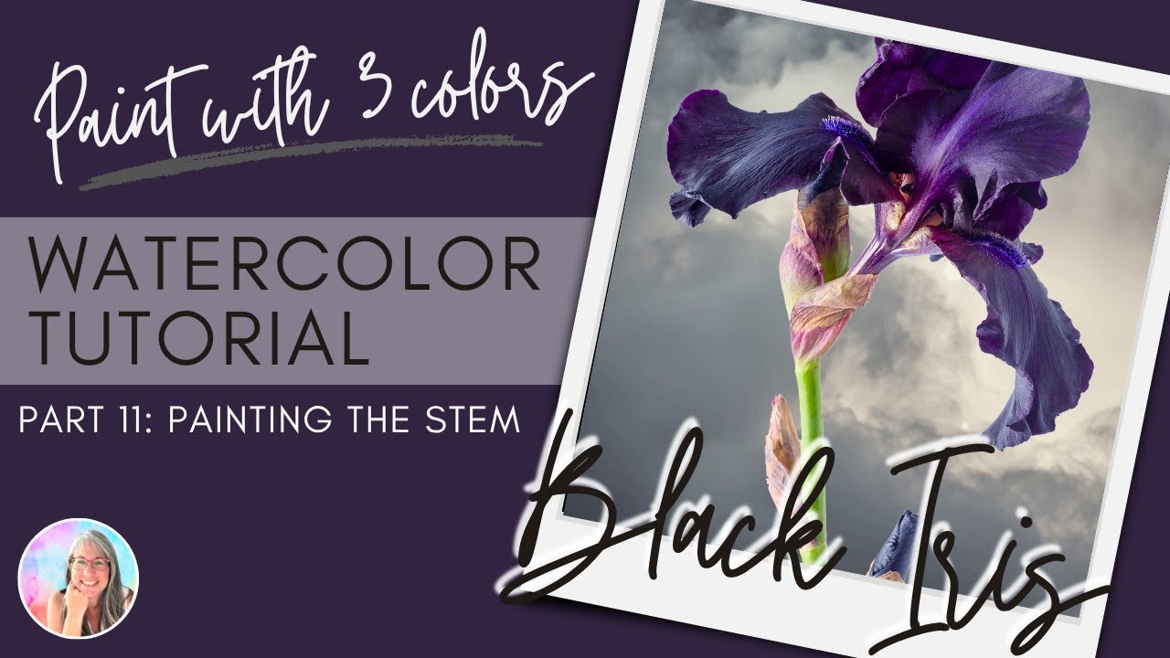 Black Iris Watercolor Part 11: The Stems and Bud    #watercolorpainting  #watercolortutorial