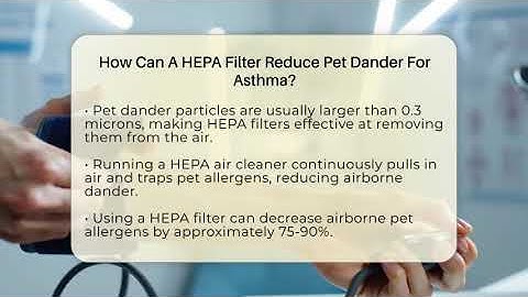 How Can A HEPA Filter Reduce Pet Dander For Asthma? - Everyday Asthma Tips