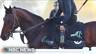 Wearable sensors for horses aim to prevent injuries on the racetrack