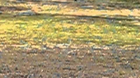 2.5 Lb. Exploding Target