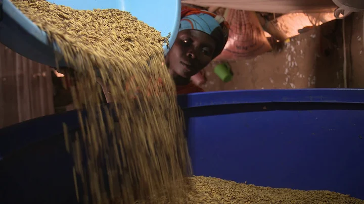 WFP’s Zero Food Loss Initiative it’s working for more than 320,000 smallholder farming families in 1