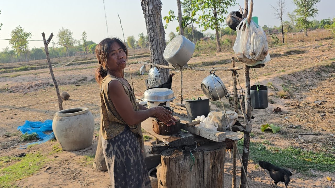 8 มีนาคม ค.ศ. 2026