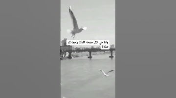 ولنا في كل جمعة ثلاث رحمات؛ صلاة على النبي، وسورة الكهف، وكنز ينتظرُنا قبل المغيب دعوة مستجابة🤲