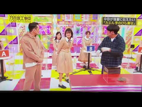カエルでガチ泣きしちゃうレイちゃん　［乃木坂工事中］