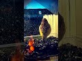 Backyard Bird's Hidden Feeding Technique #birdwatching #wildlife