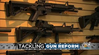 Lawmakers work on tackling gun reform legislation