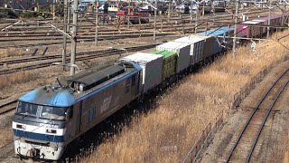 2021/02/18 JR貨物 東京貨物ターミナル駅 | JR Freight: Cargo Trains at Tokyo Kamotsu Terminal