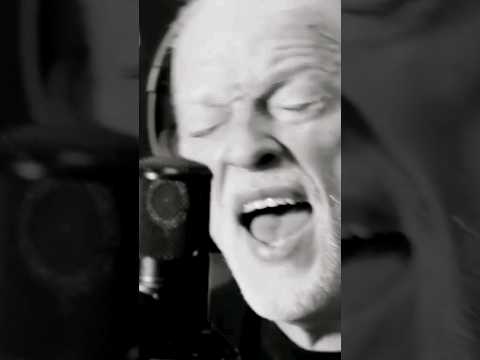David Gilmour -
