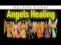 🔴 🕊️ Angels Healing for Deep relaxation & Study Concentration ☯ 065