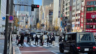 Akihabara to Shinjuku | Walking Across Central Tokyo