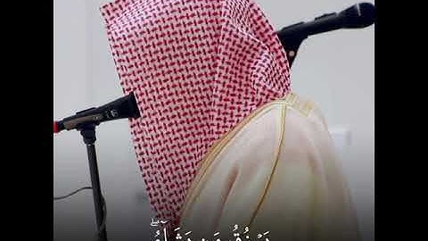 (الله لطيف بعباده) تلاوة خاشعة تبعث الطمأنينة للقلب | ناصر القطامي | حالات واتس قرآن كريم | Quran