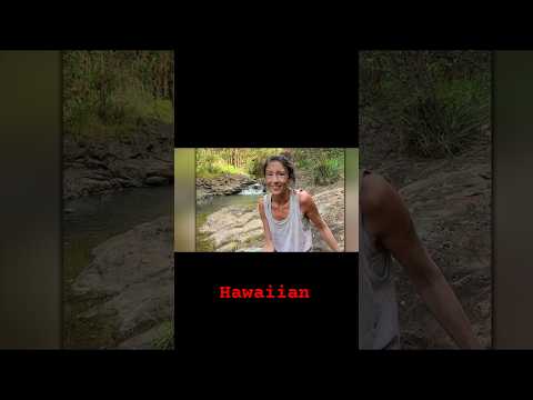 Amongst The Trees The Survival Of Amanda Eller