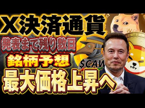 【X決済通貨】※超重要項目※採用後失神するレベルの利益!!やはりあの銘柄か？#仮想通貨 #shib #投資