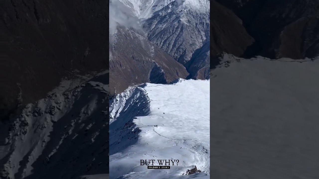 Но почему? Пингвин-нигилист 🐧 