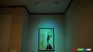 RGB LED Color Changing Par16 Bulb with IR Remote