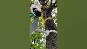 Reolink 4G Solar Camera with SIM Card