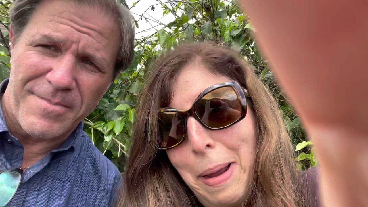 A New Bad Surprise for the Brazilian Coffee Crop Outlook: Phoma