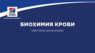 Вебинар на тему: «Биохимия крови. Что важно знать практикующему ветеринарному врачу».