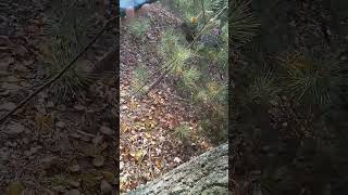 Pt 5555555544 Ok Not 666