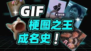 制霸表情包！GIF是如何成为梗图之王的？【柴知道】