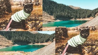 The Best Way To Spend Fall Hobo Ahle Travel