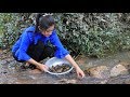 Snail Recipe - Snail Curry Recipe - Spicy Snail cooking by countryside life TV.