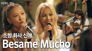 [#나라는가수] 소향(Sohyang)&화사(HWASA)&안신애(An Shinae) - '베사메 무초(Besame Mucho)' in Spain | KBS2TV 241102 방송