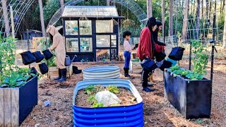 Budget Friendly Vertical Growing! +Harvest to Table #smallspacegarden #budgetfriendlygardening by Our Freedom Song 7,797 views 4 months ago 22 minutes