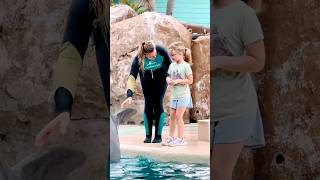 Dolphin😘🐬SeaWorld show live#dolphinshow#sealife#animals#orcaencounter#shortvideo#shorts#viral