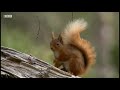 Scottish highlands  nature documentary narrated by ewan mcgregor