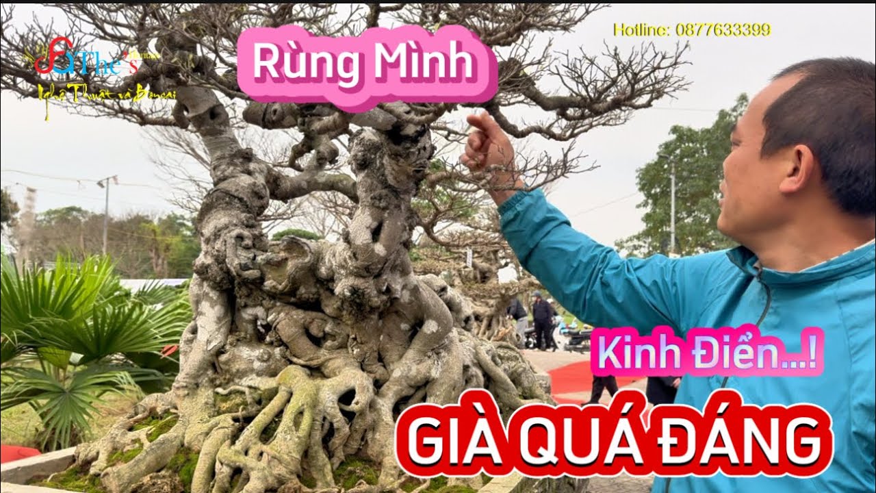 Quốc Anh gặp Cây Sanh này cũng phải đứng hình ngắm kỹ từng chi tiết