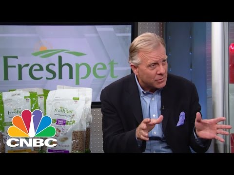 motorized interactive pet ball