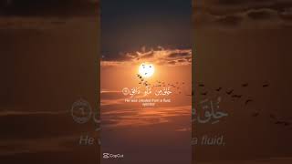 سورة الطارق بصوت الشيخ حمزه الفار #القرآن_الكريم