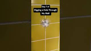 Day 7 of Digging a Hole Through a Wall