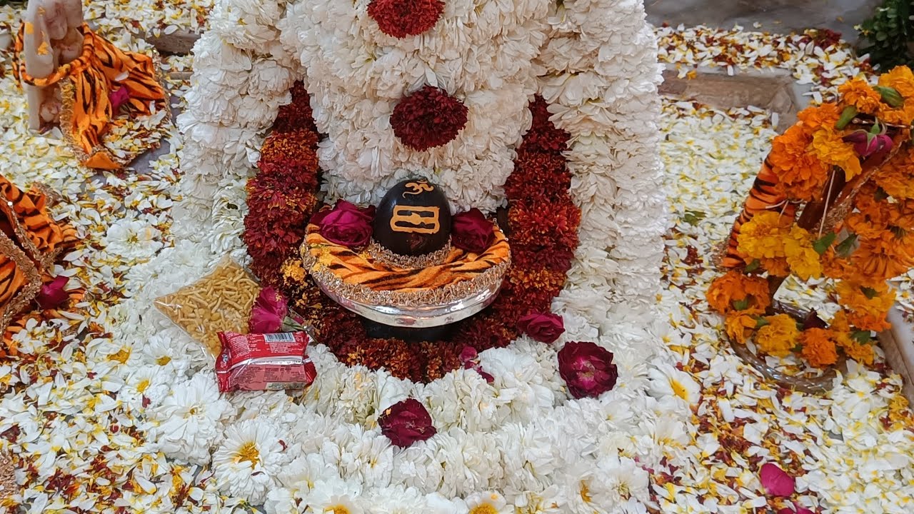 नीलकंठ महादेव जी के दर्शन 🙏😘❤️ और फाग का चौथा दिन 🌹#mahadev#vlog #holi #youtube #viralvideo 