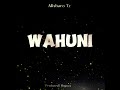 Alisharo Tz Wahuni Official Audio Alisharo Tz Wahuni Official Audio
