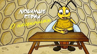 О Насекомых - Сборник Любимых Серий