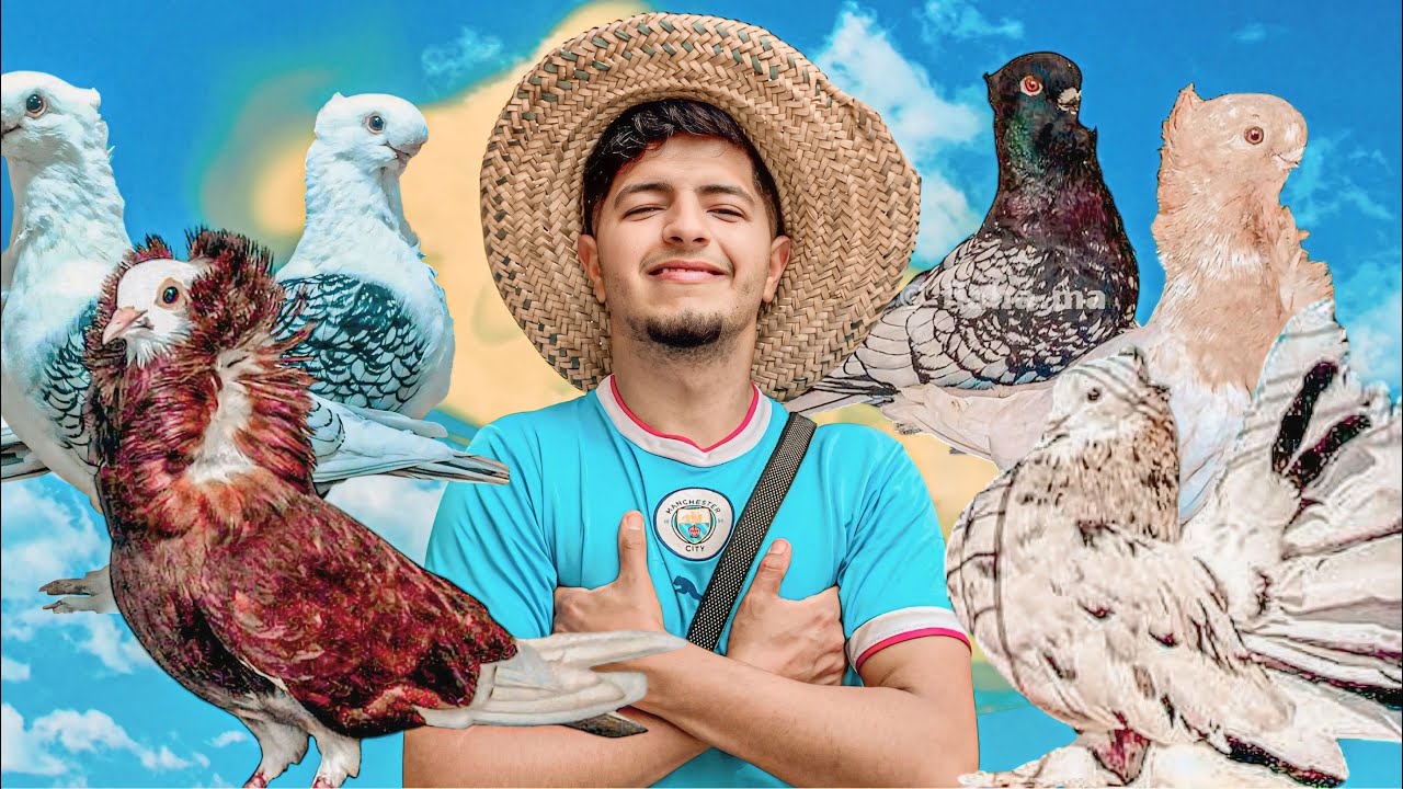 شنو نشري 🤔 شنو هو احسن نوع ديال الحمام ❤️